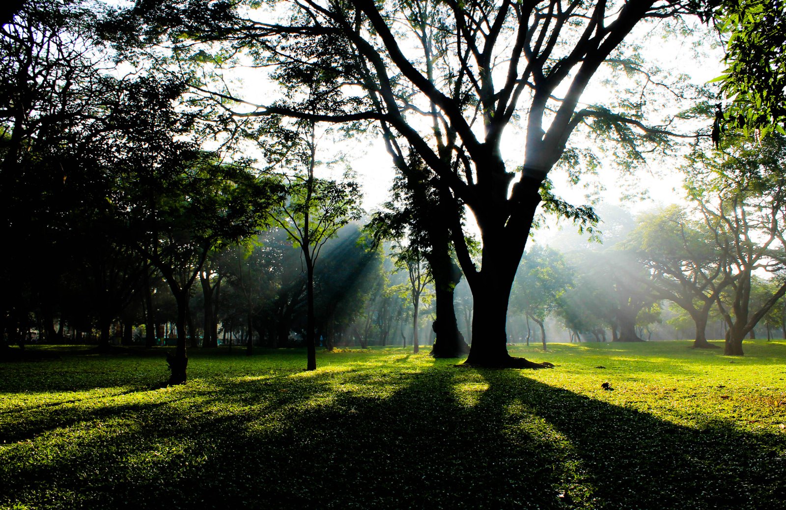 Bengaluru Parks